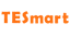 TESmart logo