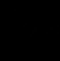 Mori Optical